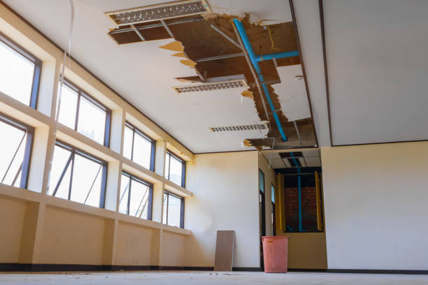 Best Water damage restoration near me  in Aurora, OH