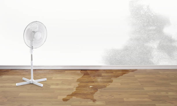 Best Residential water damage restoration  in Aurora, OH