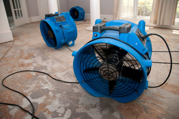 Best Flooded house restoration  in Aurora, OH