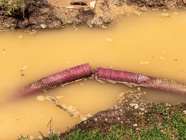 Best Mold removal after water damage  in Aurora, OH