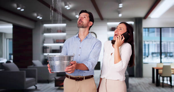 Best Water damage mitigation services  in Aurora, OH