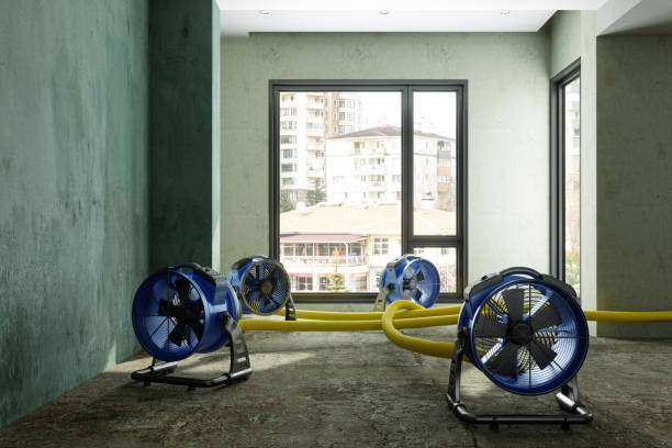 Best Local water damage restoration  in Aurora, OH